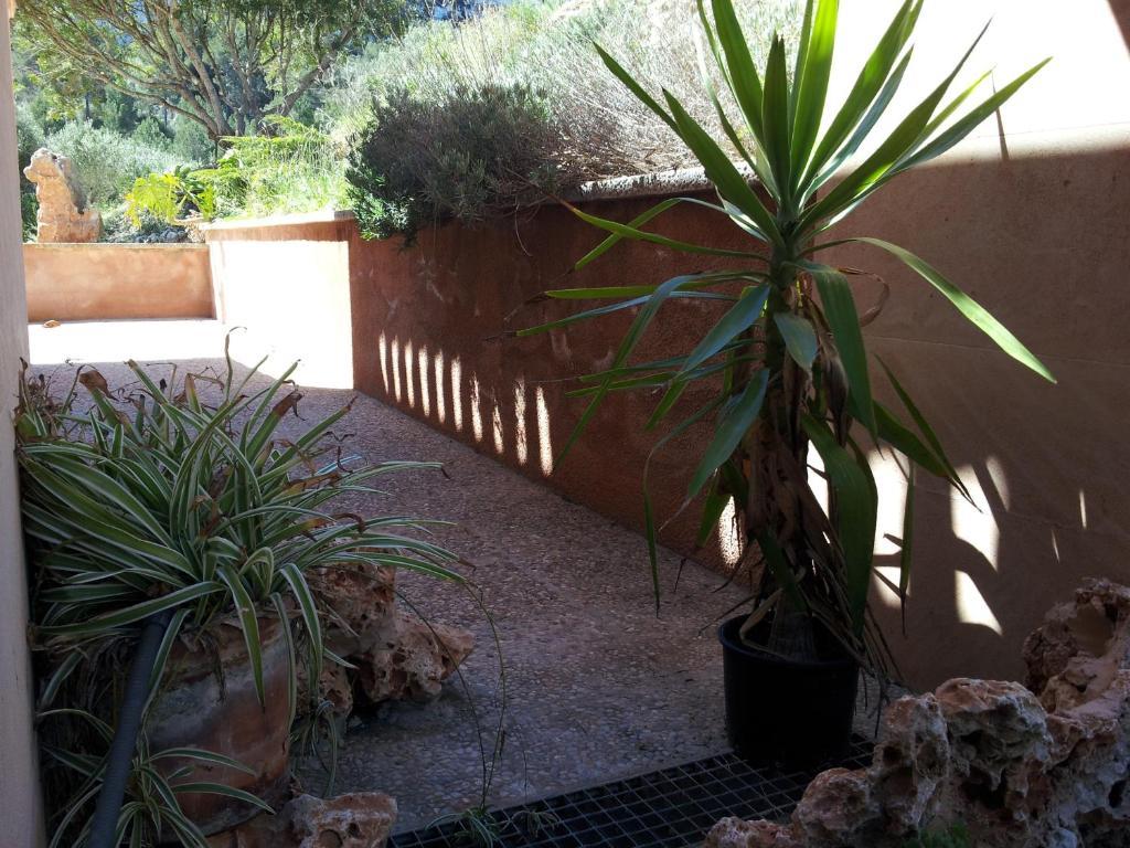 Agroturisme Es Picot Son Macià Habitación foto